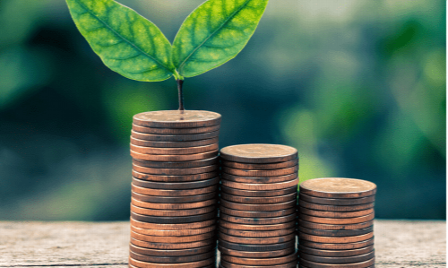 Iraunkortasun ekonomikoan espezializatutako gunea, zeinen helburua ESSa eta berau osatzen duten erakundeak indartzea den. Proiektuak laguntzen ditugu  gara fase guztietan (eraketa, bideragarritasuna, kontsolidazioa, aldaketa estrategikoak, krisiak...