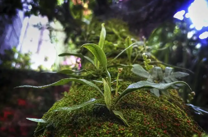 Irabazi asmorik gabeko erakundea gara, eta bere jardueraren ardatz nagusia ZAINTZA da, mendekotasuna duten pertsonei, adineko autonomoei eta emakumeei (batez ere, familiako emakume zaintzaileei eta adineko emakumeei) zuzendutako zerbitzu eta proiektu
