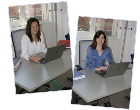 Kudeaketa- eta aholkularitza-zerbitzuak: lanekoa, kontabilitatekoa eta fiskala, ekintzaileei eta Ekonomia Sozial eta Solidarioko enpresei zuzendua.