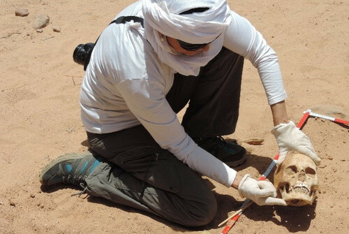 Garapena eta nazioarteko lankidetza, garapenerako hezkuntza, unibertsitate heziketa eta dokumentazio zentroa.