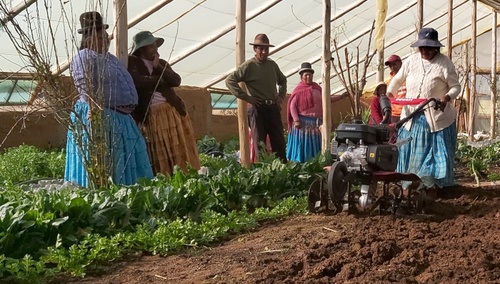 Garapena eta nazioarteko lankidetza, garapenerako hezkuntza, unibertsitate heziketa eta dokumentazio zentroa.