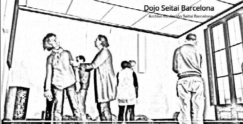 Bilboseitai kultur proiektu bat da, Euskadin Seitai kultura zabaltzea eta partekatzea helburu duena, belaunaldi desberdinen eta kolektibo guztien artean. 
Jatorri japoniarra duen arren unibertsala den kultura bakarra da, eta bere praktika sinpleek �