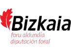 Diputación Foral Bizkaia